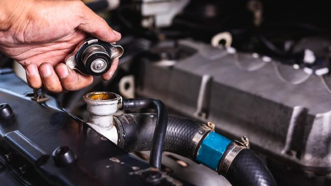 Alasan Radiator Coolant Penting Untuk Mobil Kesayangan